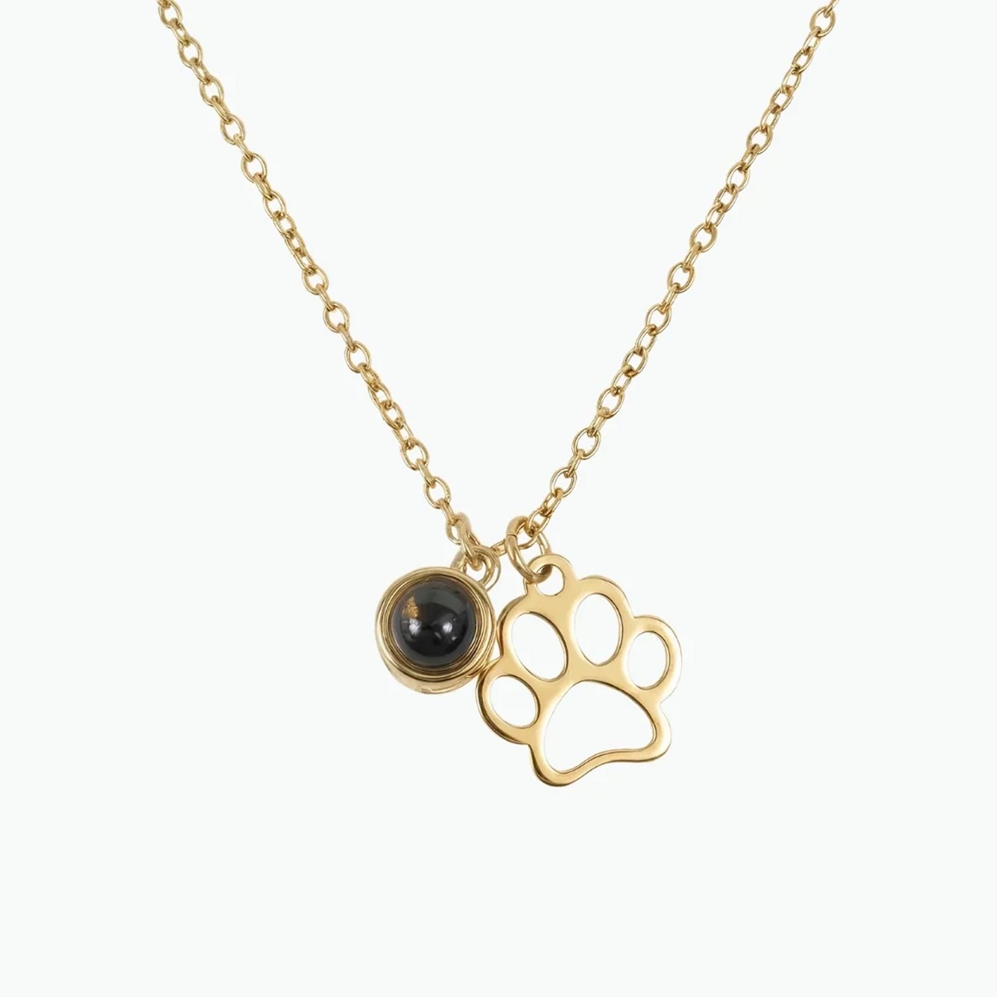 Colar de Projeção Forever Paw