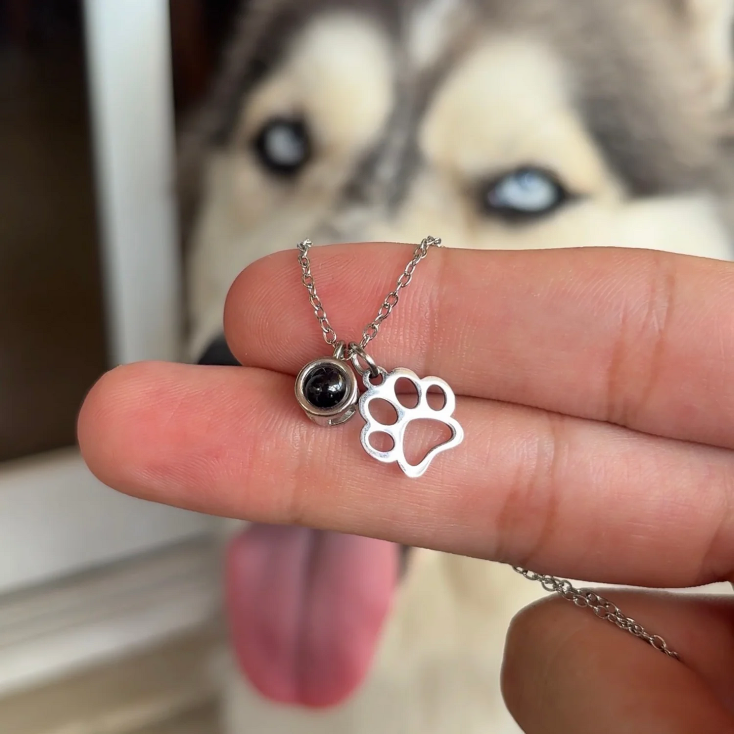 Colar de Projeção Forever Paw
